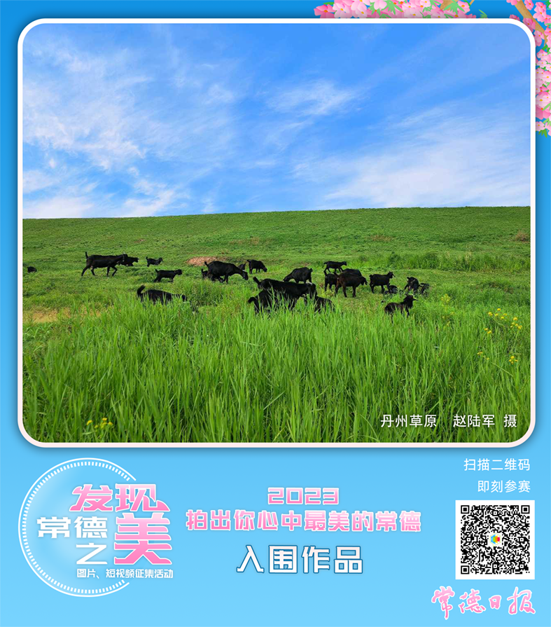 006a8cbfac23469bad0a9455c72d194b.png