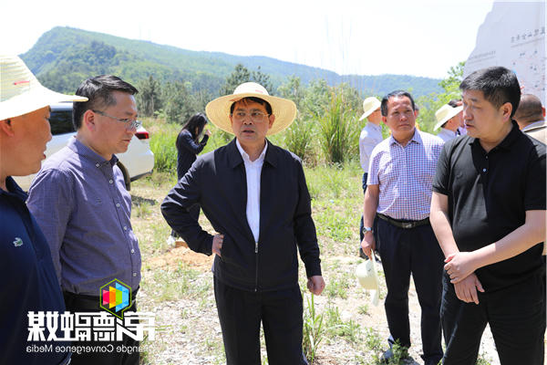 市领导赴桃源县督导脱贫攻坚工作：发动群众全面参与脱贫攻坚 用产业带动群众致富奔小康