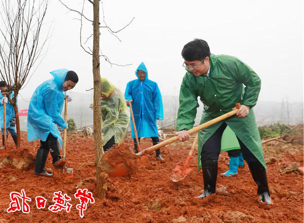我市开展集中义务植树活动扮靓常德