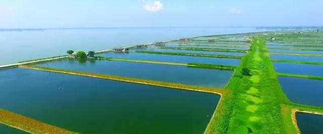 珊珀湖