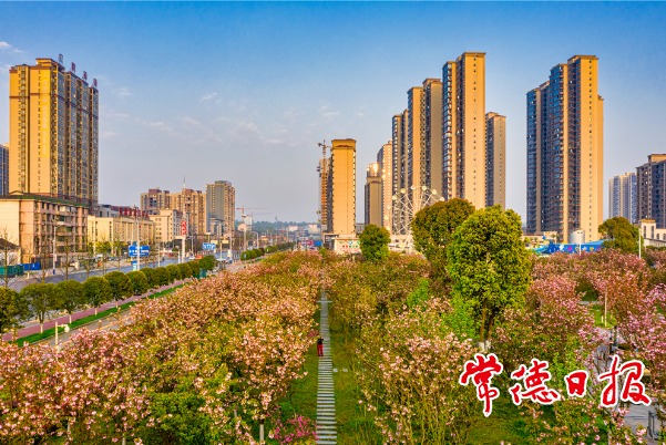 花园里的城市