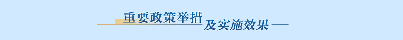 重要政策举措及实施效果