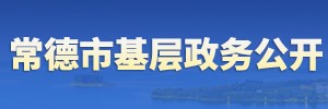 基层平台公开窗口