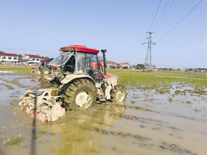 202503231