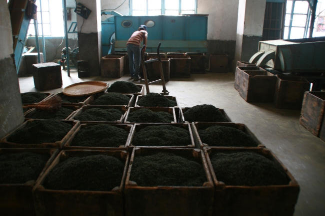 市级：泰和合宜红茶制作工艺