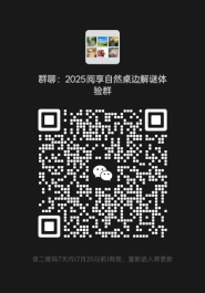 202508049