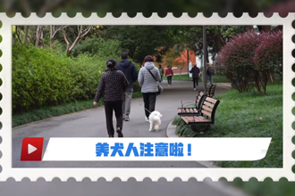 文明养犬新规一起来看看