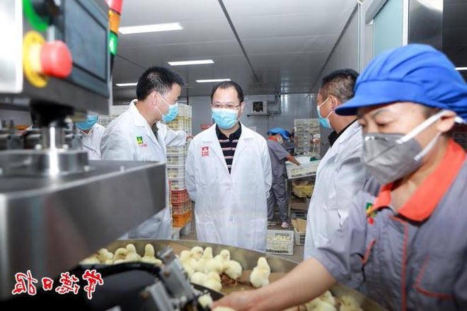 周振宇深入石门县开展调查研究并指出：坚定不移做大做强县域经济 推动经济社会高质量发展