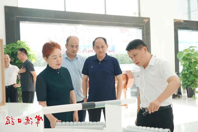 湖南省第二生态环境保护督察组赴桃源县下沉督察