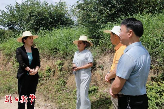 市政协开展界别委员视察活动
