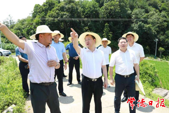 周振宇前往澧县万家岗村督导巩固脱贫成果
