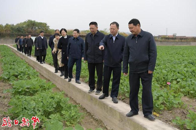 周振宇在市农科院调研时强调：为常德加快从农业大市 迈向农业强市作出更大贡献
