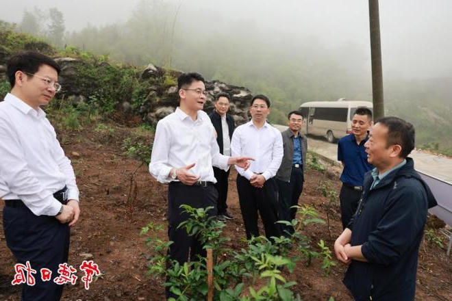 曹志强在石门县调研时强调：发展特色富民产业 全面推进乡村振兴