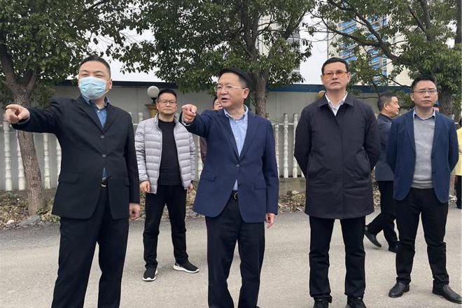 市领导督导创建全国文明城市和巩固国家卫生城市工作