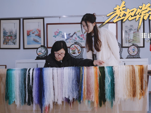 巷见常德非遗系列之桃源刺绣