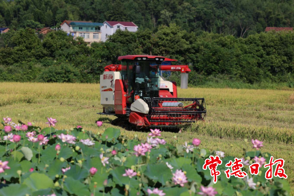 【经济】鼎城区双桥坪镇 