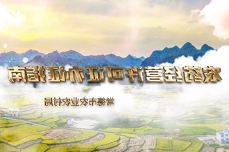 【在线服务平台小视频专题】