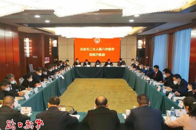 曹志强参加临澧代表团分团审议