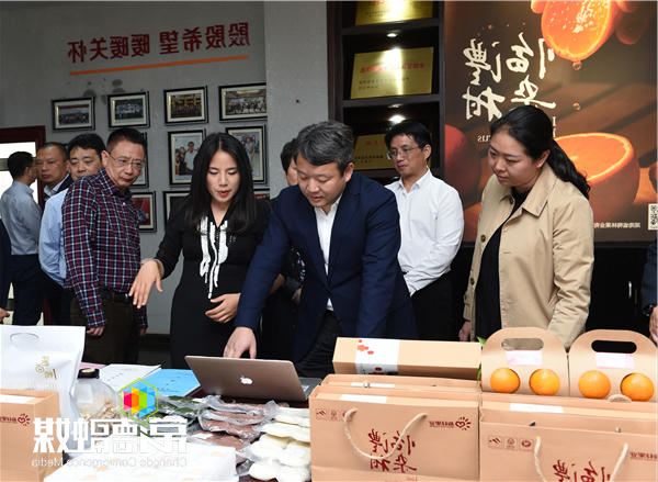 曹立军赴临澧县调研：发展扶贫产业要注重特色化信息化市场化
