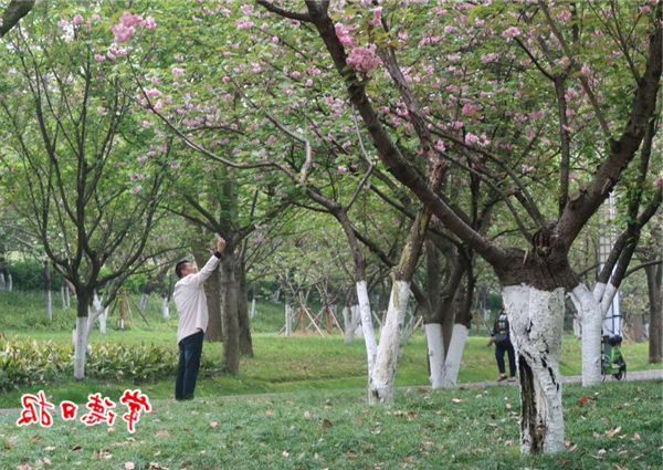 微信截图_20210330140637.png