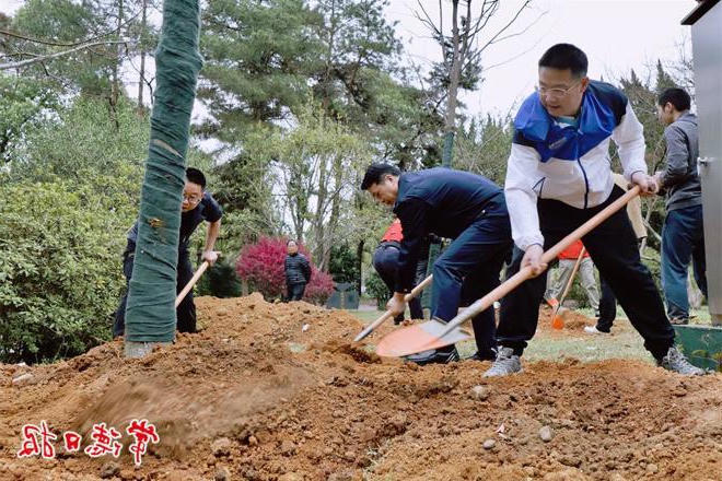 市城建系统开展义务植树活动