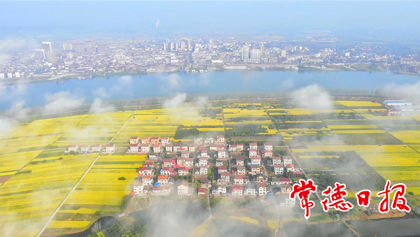 云雾掩映乡村新画卷