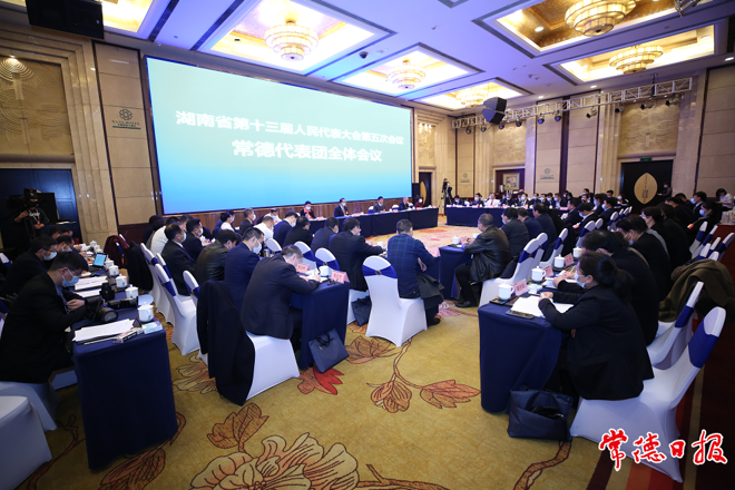 杨浩东参加常德代表团集中审查省政府工作报告指出：永葆