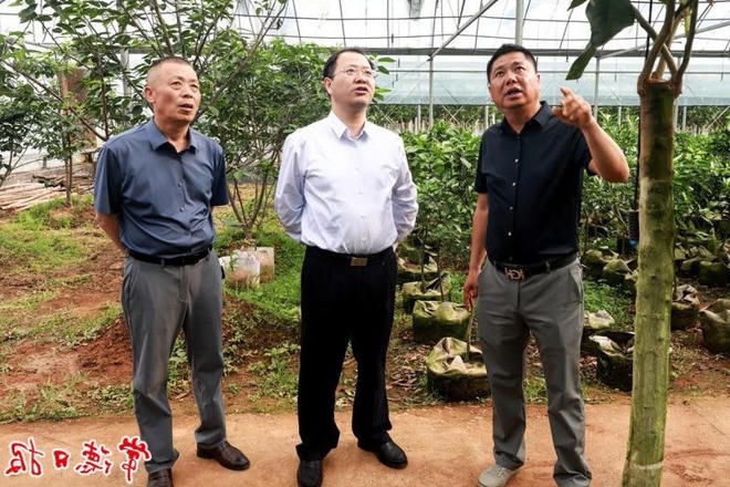 周振宇在澧县调研时强调：以产业大发展带动乡村大振兴推动农业农村现代化