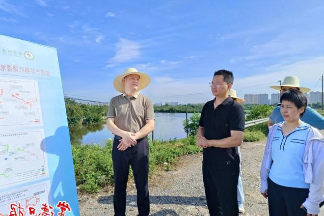 市领导调研督导全市山水项目建设