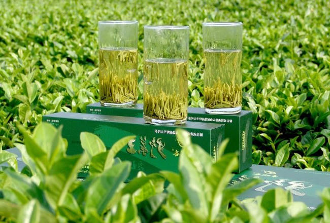 市级：桃源野茶王
