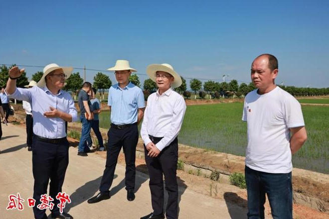 曹志强在澧县调研时强调：全力稳面积稳产量促增效促增收 不断擦亮