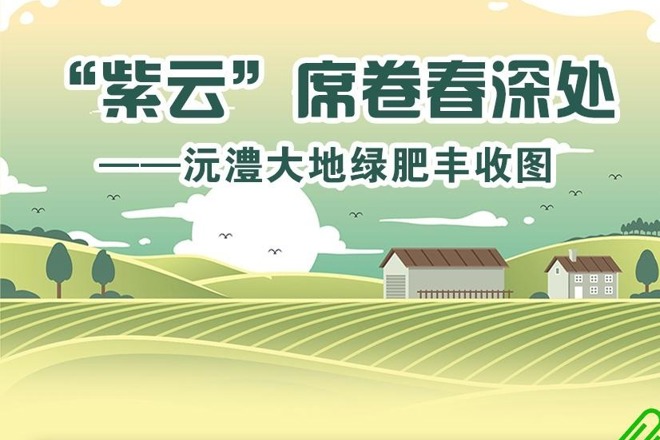 【长图】