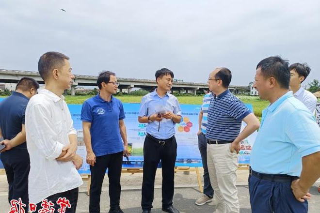上海市规划和自然资源局调研组来常调研耕地保护工作