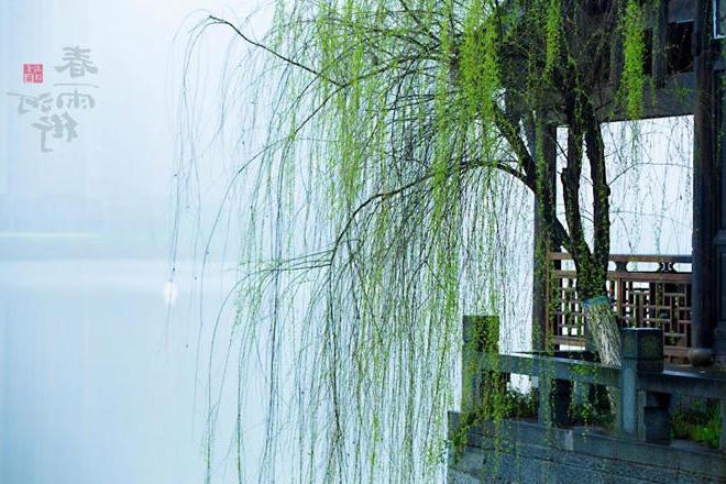 春雨河街