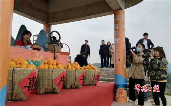 【经济】临澧刻木山乡园丰脐橙喜摘全省金奖
