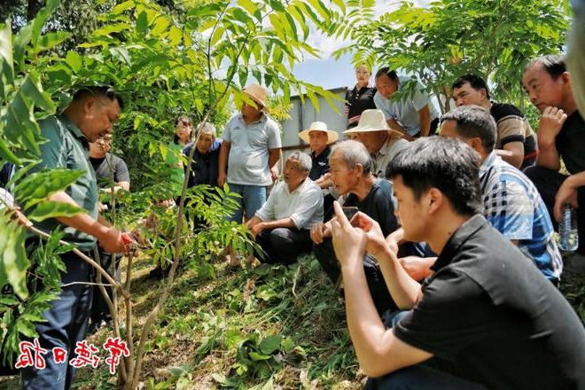 【社会】一颗小果子，成为石门县竹儿垭村集体经济的新增长点