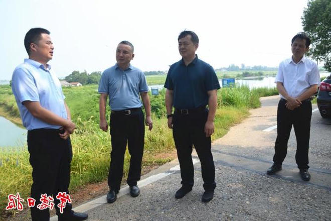 市领导赴冲柳高水鼎城河段开展巡河工作
