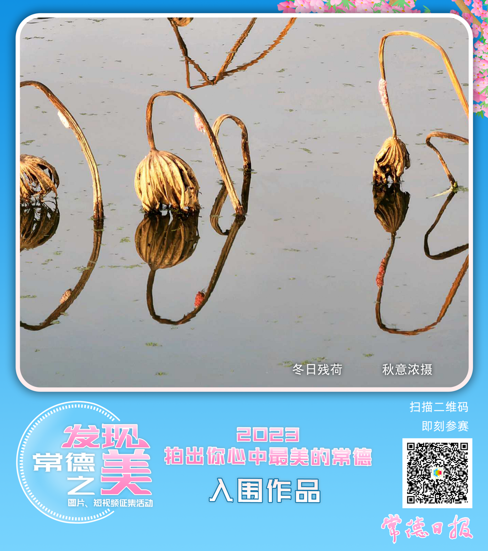 d358d2e0638d4befb0ae99ee5f133734.png