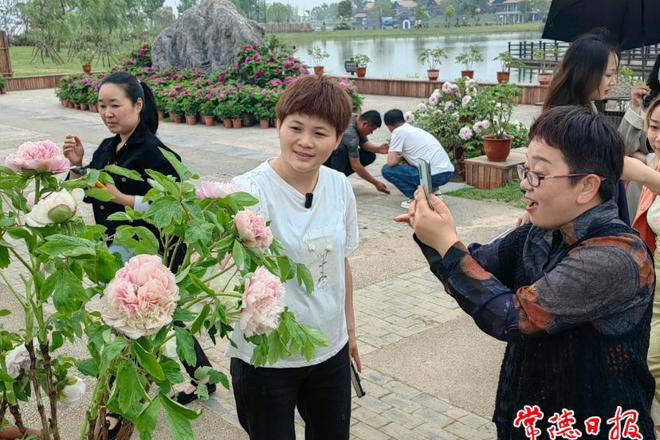 【社会】新澳门葡京在线娱乐渔歌艺术营地牡丹花海游人如织