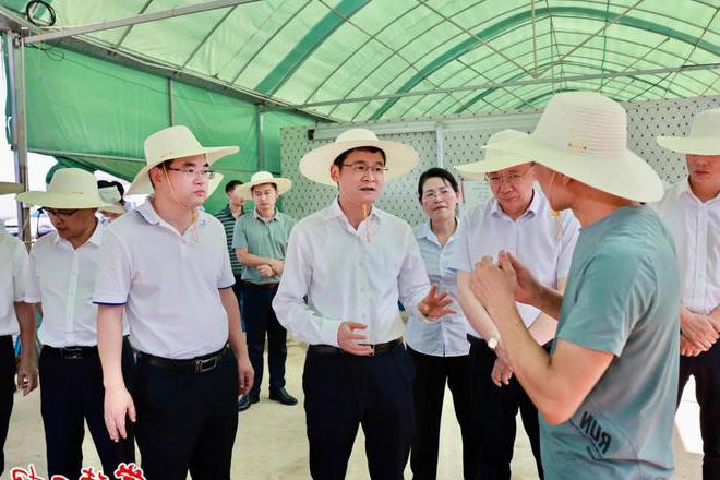 曹志强在汉寿县调研时强调：扛稳粮食安全重任 守住耕地保护红线