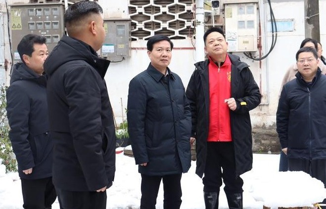 市领导带队赴驻点街道指导低温雨雪冰冻天气防范应对工作