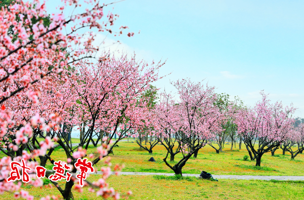 柳叶湖春色