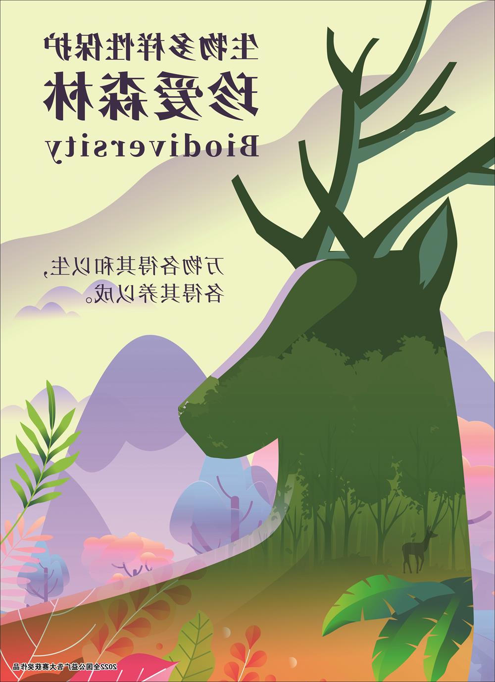 珍爱湿地，森林-2