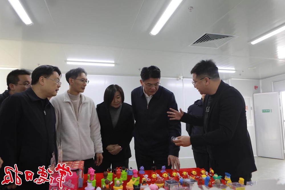 市委书记罗毅君在桑尼森迪项目现场调研