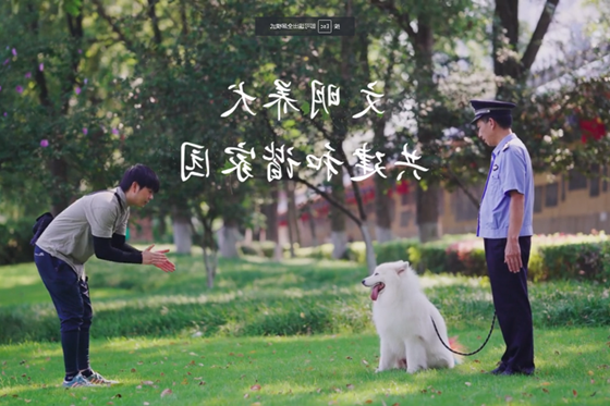 文明养犬 共建和谐家园