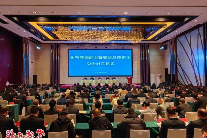 市领导在全市药品监管暨生物医药产业发展工作会议上要求：加快形成