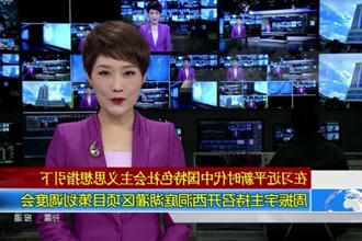 周振宇主持召开西洞庭湖灌区项目策划调度会