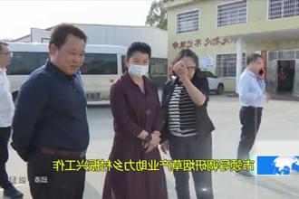 市领导调研烟草产业助力乡村振兴工作