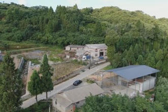 石门：庭院小经济 乡村大振兴