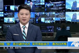 津市白衣镇：千亩油茶开采 为乡村振兴添